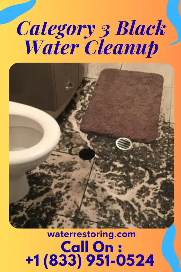 Category 3 Black Water Cleanup in Sidney, IA
