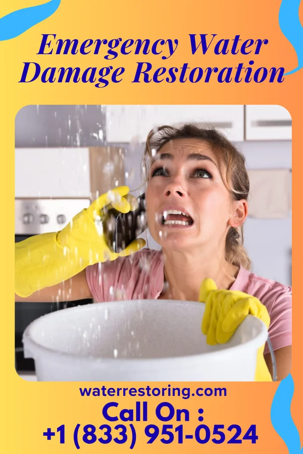 Emergency Water Damage Restoration in Sidney, IA