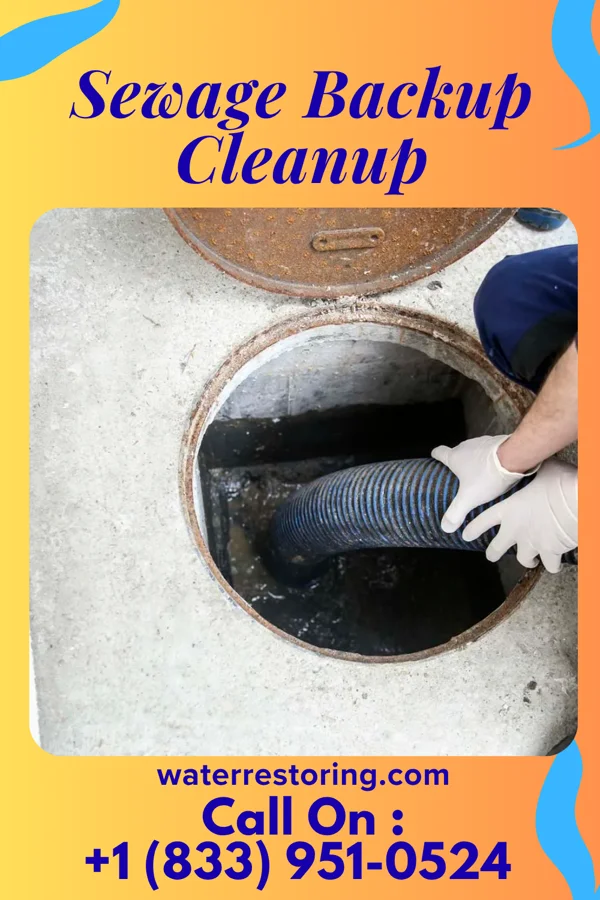 Sewage Backup Cleanup in Sidney, IA